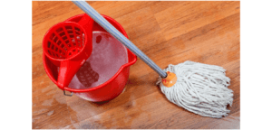 Best Spin Mop In India