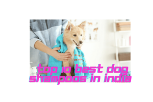 Top 10 Best Dog Shampoos In India